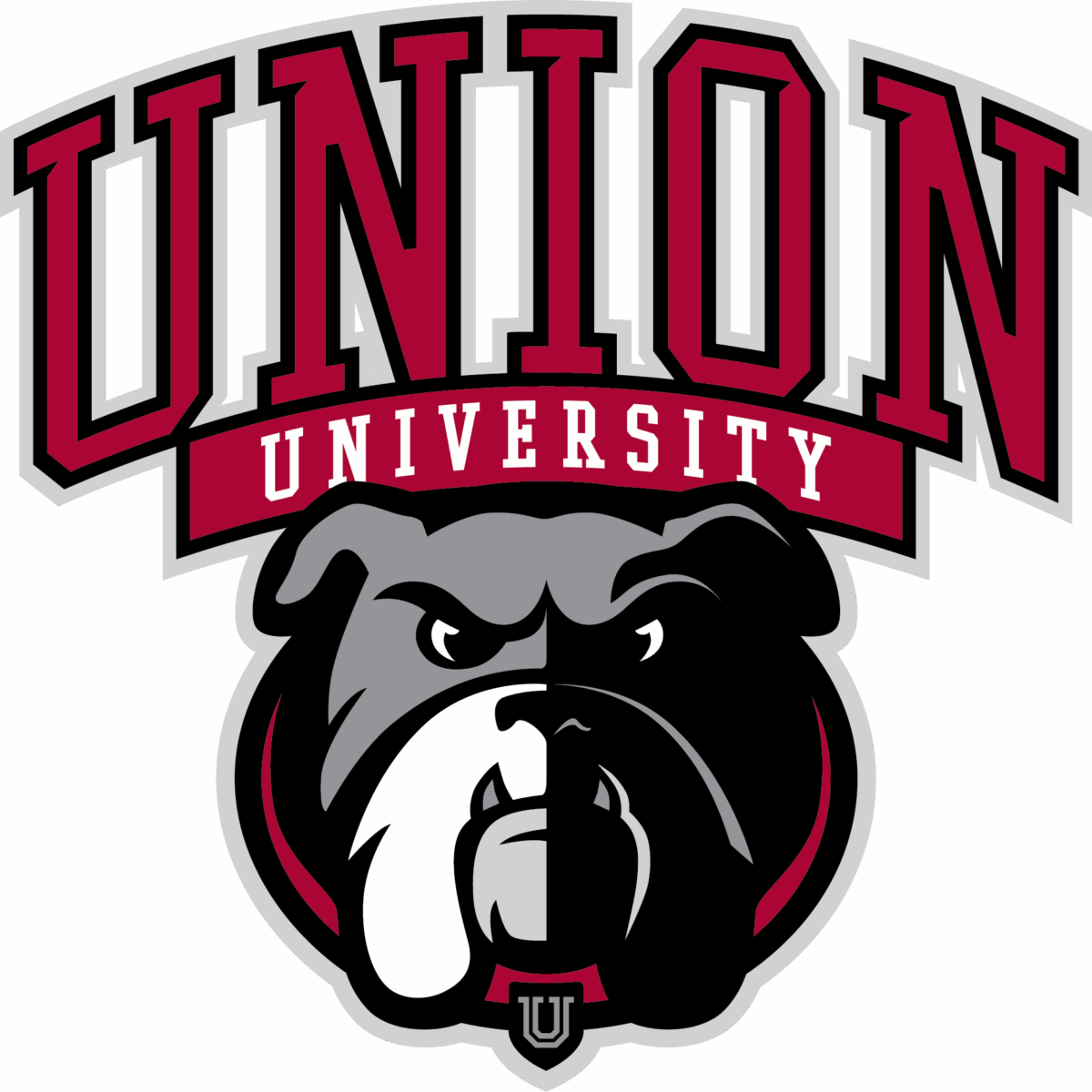 Union university